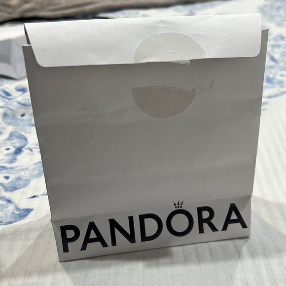 Pandora gift bag - Picture 2 of 3